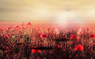 别再问哪里有黑料：这篇只讲证据链复盘和避坑方法（给自己留退路）