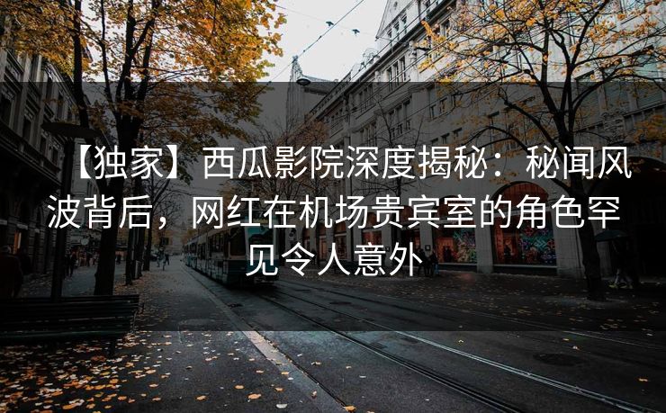 【独家】西瓜影院深度揭秘：秘闻风波背后，网红在机场贵宾室的角色罕见令人意外