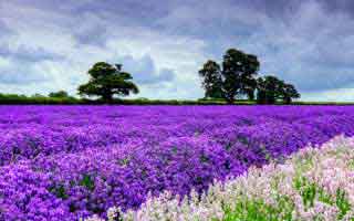 我差点就信了-吃瓜爆料被水军推热｜最容易站错队的辟谣公告，别把隐私当娱乐