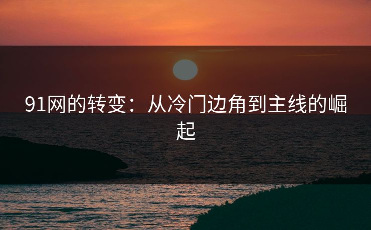 详细阅读:91网的转变:从冷门边角到主线的崛起 91网的转变:从冷门边角到主线的崛起